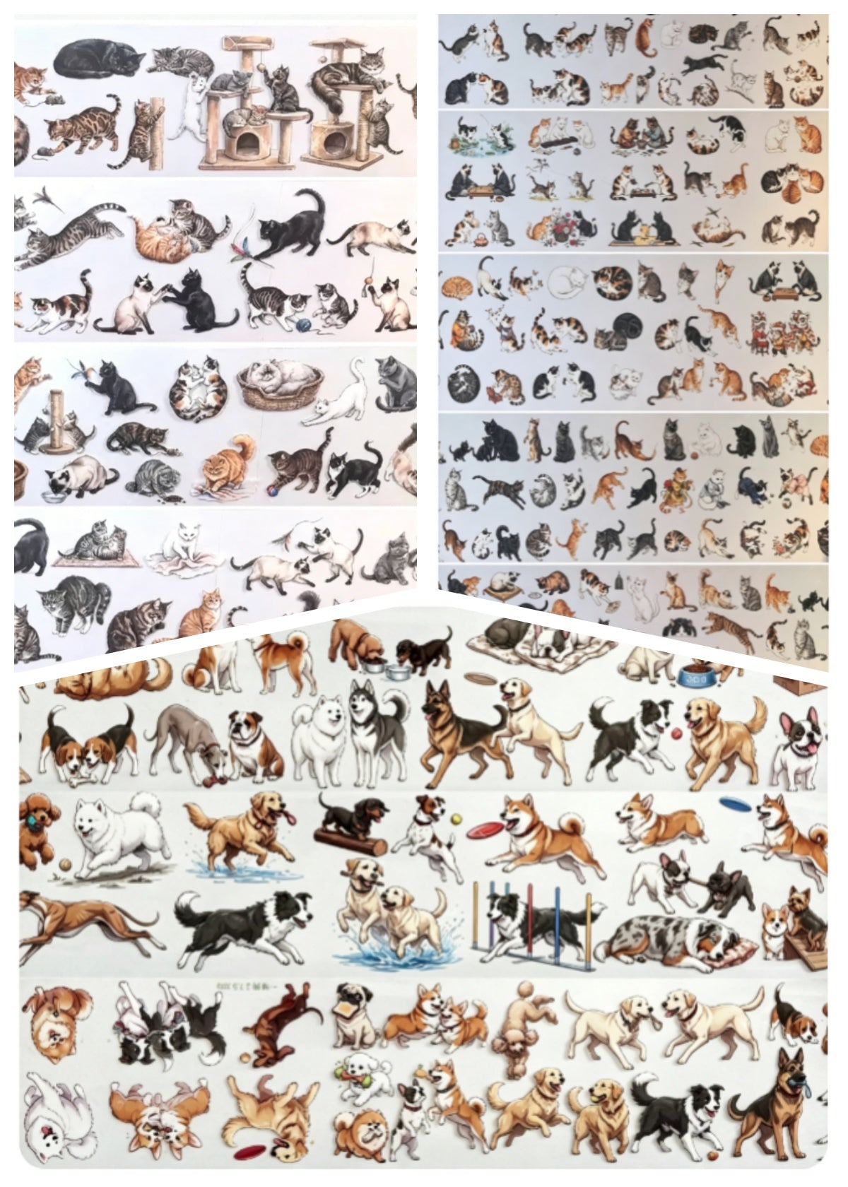 Limited Edition《Zhai Mao Ju 》Dog and Cat (Loop)