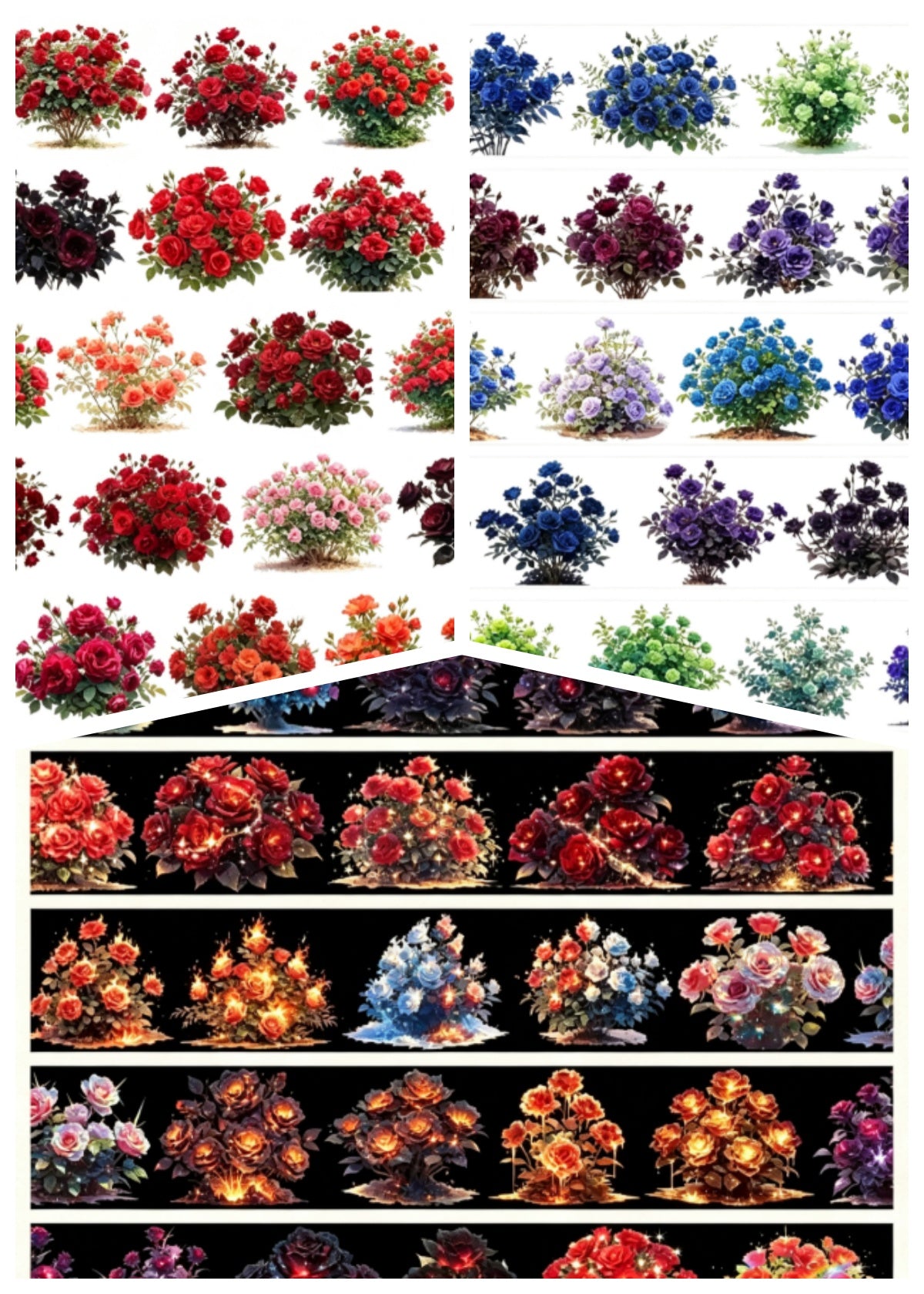 Limited Edition《Zhai Mao Ju 》Cherry blossoms,Colorful cherry blossoms (Loop)