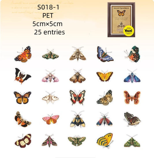 S018-Have a nice day  ( Insect Specimen Sticker ) 4 Styles