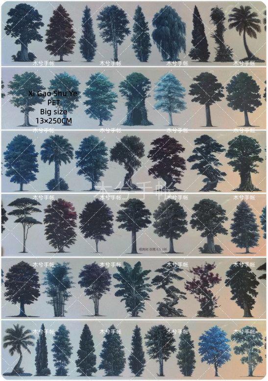 Limited Edition《Zhai Mao Ju 》Dark bamboo ,tall and slender trees at night (Loop)