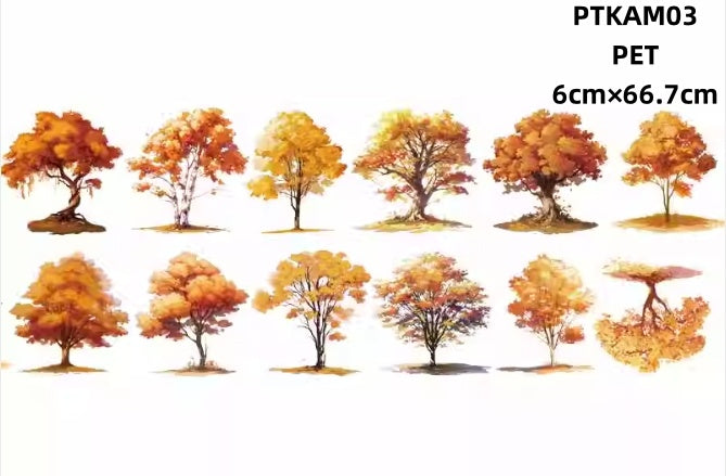 Xiao Ke Ai M ( Autumn,autumnal scenery, autumn tree ) 11 Styles  LOOPS