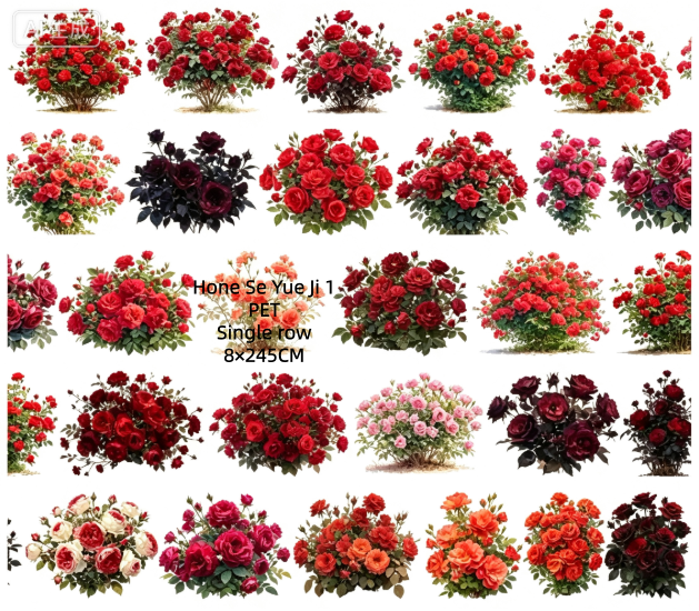 Limited Edition《Zhai Mao Ju 》Cherry blossoms,Colorful cherry blossoms (Loop)