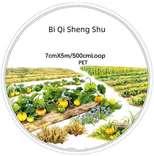 SZCX (Bi Qi Sheng Shu) Loop/Roll