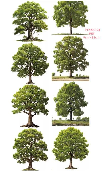 Xiao Ke Ai P1 ( Tree ) 3 Styles LOOPS