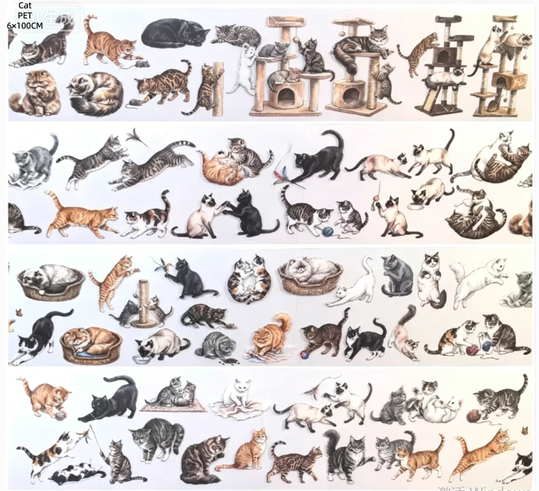 Limited Edition《Zhai Mao Ju 》Animals,Bird of prey,Forest of creatures (Loop)