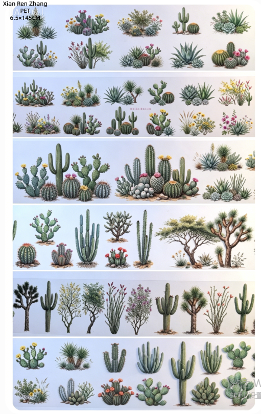 Limited Edition《Zhai Mao Ju 》Desert ,desert house ,desert people and cautus ( Loop )