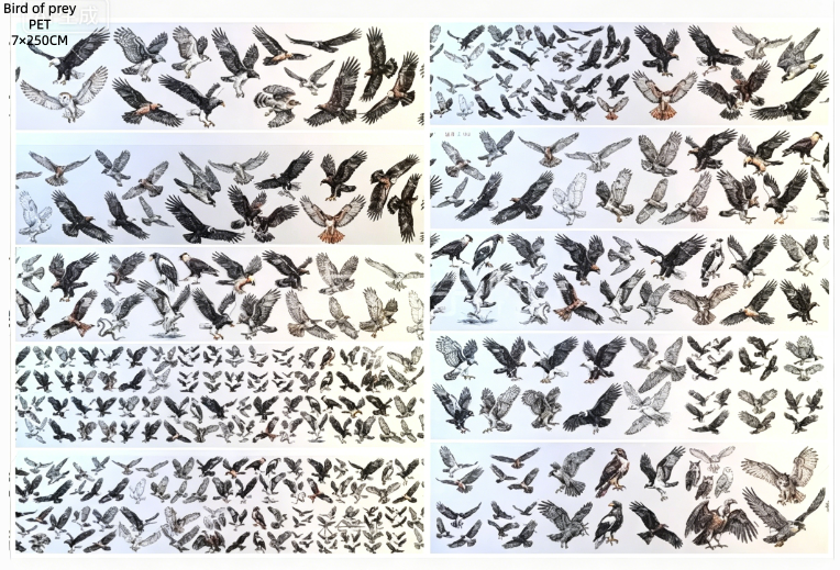 Limited Edition《Zhai Mao Ju 》Animals,Bird of prey,Forest of creatures (Loop)